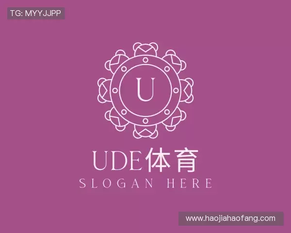 认识UDE体育